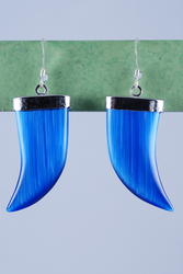 Bold Claw Earrings