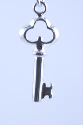 Key to My Heart Earrings