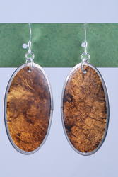 Hued Oval Earrings : More Colors