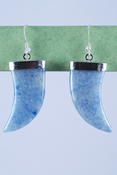 Stone Claw Earrings