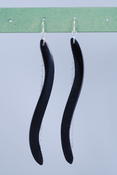 Squiggle Shell Earrings