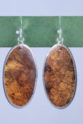 Hued Oval Earrings : More Colors