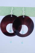 Fancy Fall Earrings
